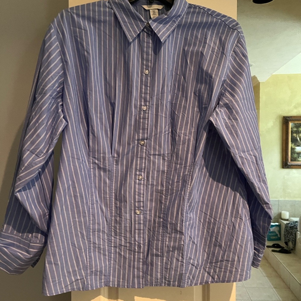 NWOT H & M blue and white stripped cotton shirt w darts never worn